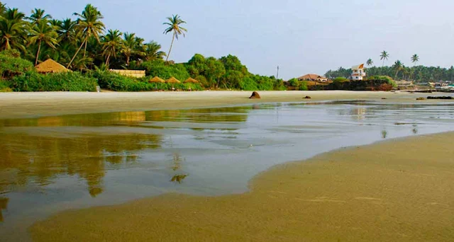 Top 5 Beach Resorts in Goa, Why Ashwem beach goa’s posh beach