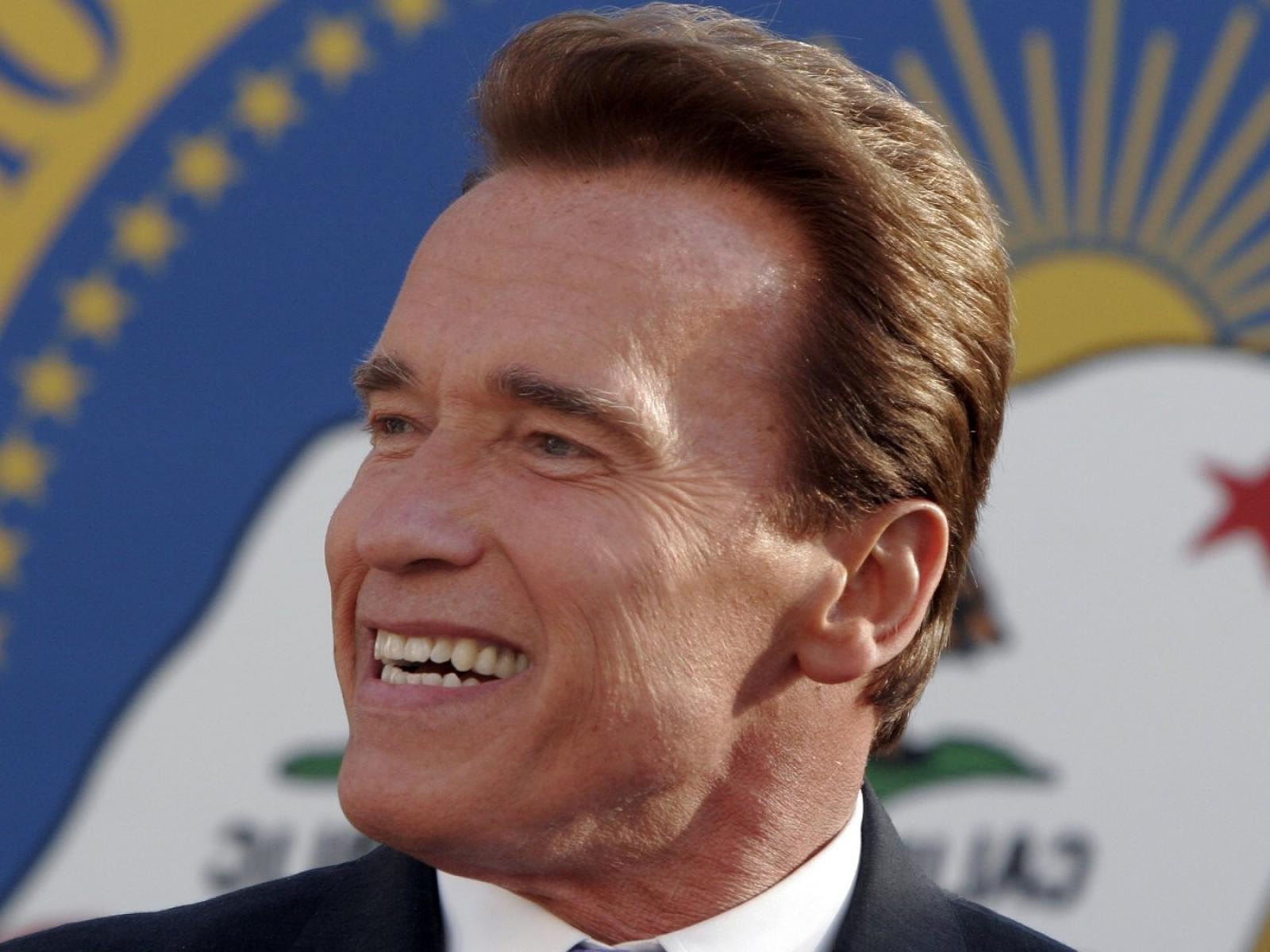 Arnold Schwarzenegger ( I M Back ) | Desktop Wallpapers