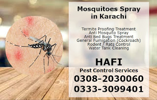 Mosquito Repellent in Karachi