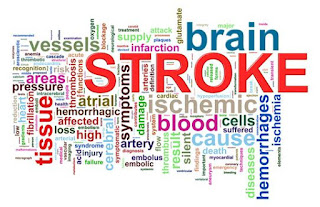 Obat herbal buat stroke, penyakit stroke itu apa, obat herbal pemulihan pasca stroke, obat stroke menahun, mengobati stroke secara tradisional, obat tradisional buat stroke, pengobatan sakit stroke, obat untuk stroke berat, obat orang stroke, pengobatan untuk stroke iskemik, obat stroke mahal