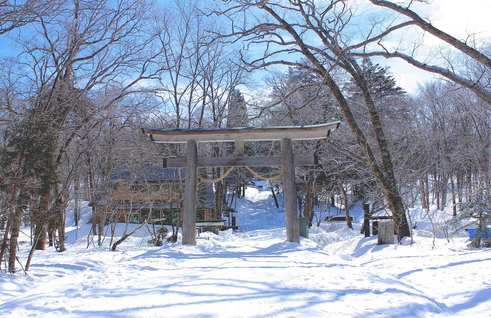 冬の戸隠神社は雪に埋まってる 長野のパワースポット神社に行ってみた T ミライノシテン