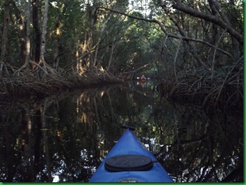Coot Bay paddle 036