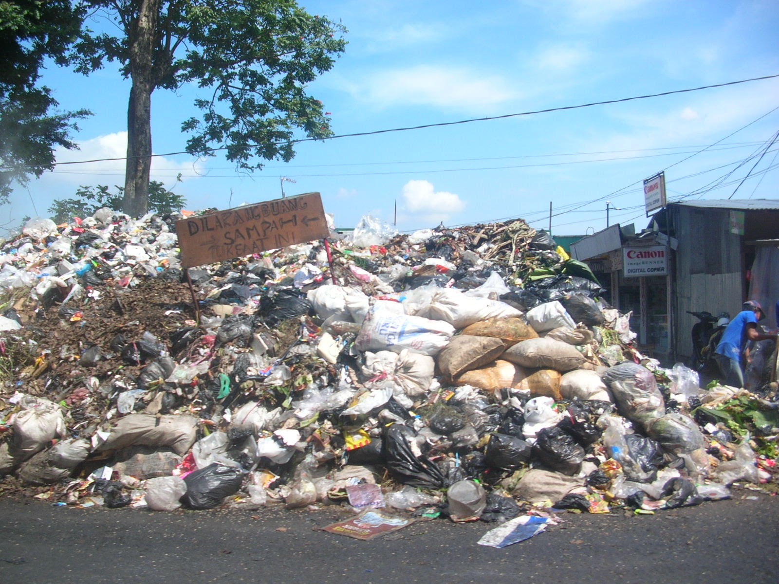 Contoh Karya Ilmiah Remaja tentang Sampah di Indonesia 