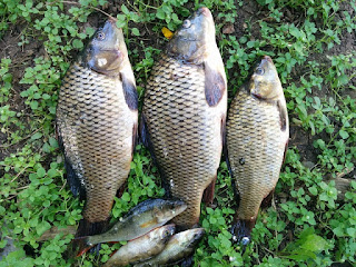 Mancing di Bendung Beton, Gunung Kidul