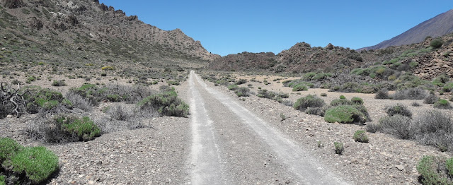 GR-131 TRAMO 5 EL PORTILLO - CENTRO DE VISITANTES (S-4 Siete Cañadas) A DEGOLLADA DE GUAJARA (S-5), pista Siete Cañadas, Cañada de La Angostura