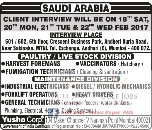 Saudi Arabia Large Job Vacancies