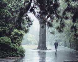  Very beautiful photographs of rain,Beautiful Photos of Rain,Beautiful Photos of Rain,bangladeshi rain images