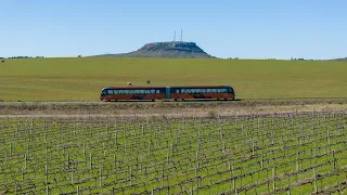 Tren recorriendo el lateral de un viñedo, de fondo el cerro palomas con su cima chata y antenas de radio