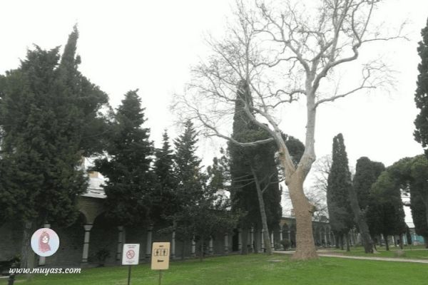 Traveling ke Turki dan Mengunjungi Museum Topkapi Palace Istanbul
