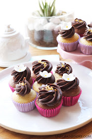 Mini Cupcakes Chocolat Vanille