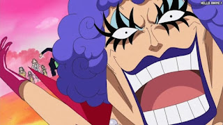 ワンピースアニメ 510話 カマバッカ王国 イワンコフ | ONE PIECE Episode 510