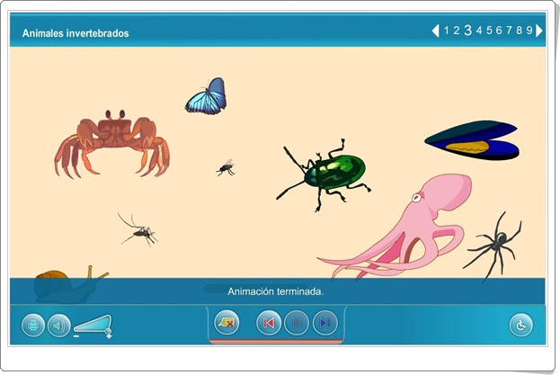 "Animales invertebrados" (Ciencias Naturales de Primaria). Plataforma Agrega.