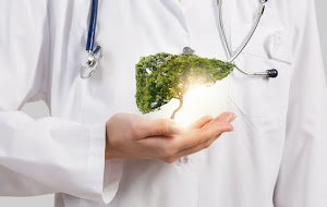 Fitoterapia in cazul afecţiunilor pancreasului si ficatului