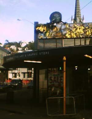 Giant tui on the Forest & Bird offices in Ghuznee St