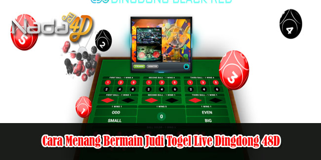 Cara Menang Bermain Judi Togel Live Dingdong 48D