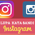 Cara Reset Password Instagram yang Lupa dengan Email