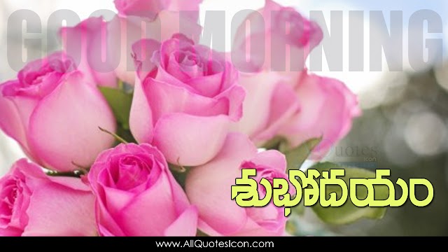 Top Telugu Good Morning Greetings HD Wallpapers Best Subhodayam Subhakamkshalu Telugu Quotes Images Free Download