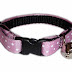 Kitty Kat Cat Collars