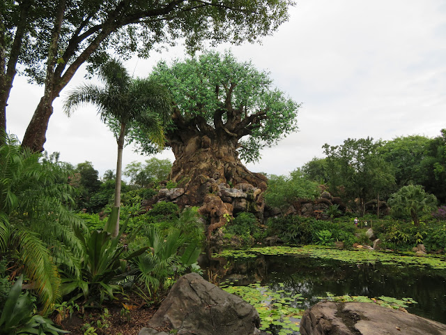 The Tree of Life Disney's Animal Kingdom