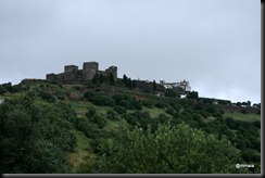 IMG_4099