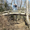 Bridge Over Creek For Driveway : Use Box Culverts For Fast Bridge Replacement Npca : Covered bridge over creek 2 is a photograph by c g emilio which was uploaded on september 27th, 2011.