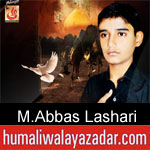 https://www.humaliwalyazadar.com/2018/09/muhammad-abbas-lashari-nohay-2019.html