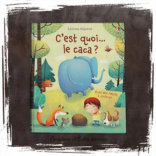 C'est quoi le caca?  un livre pour enfant plein d'humour sur la propreté et la continence, editions Usborne