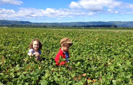 2013-06-09 Strawberry_picking 002