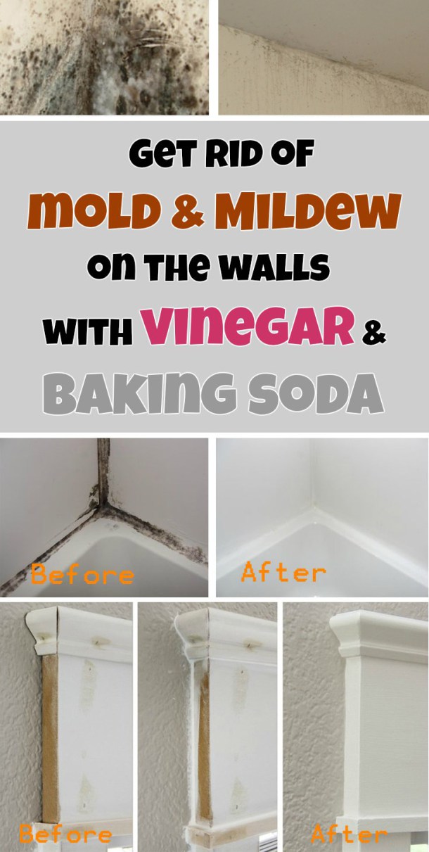 9 Shocking Bathroom Cleaning Tips Proven By Pros