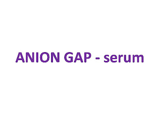 ANION GAP - serum 