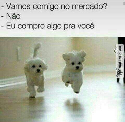 Memes engraçados