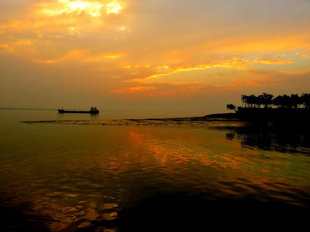 Jhingekhali Forest Range and watch tower Sundarban