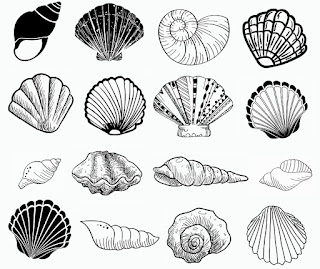 Seashell svg,cut files,silhouette clipart,vinyl files,vector digital,svg file,svg cut file,clipart svg,graphics clipart