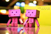 danbo :')