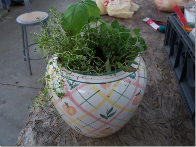 Farmers market 2011 009