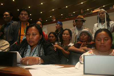 Indigenous Peoples Protest Climate Talks, Poznan