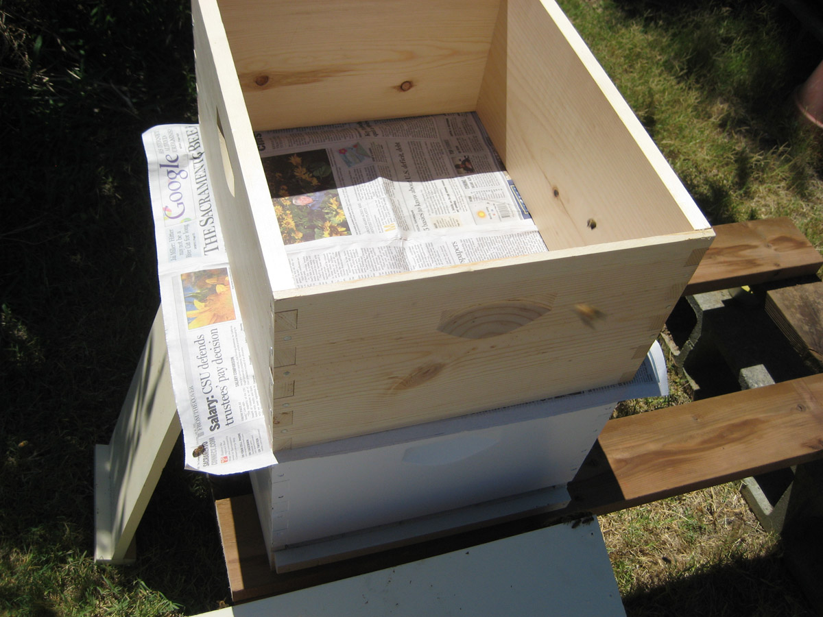 daily wood job: Choice Perone beehive plans