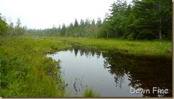 Bubble rock and Jordon pond_048