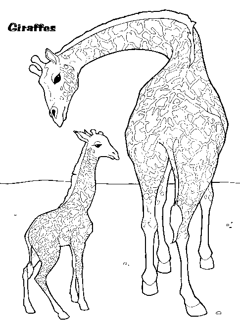 Mother & Baby Giraffes Coloring Page title=