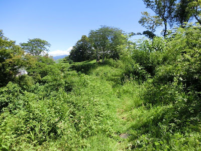  韮山城址