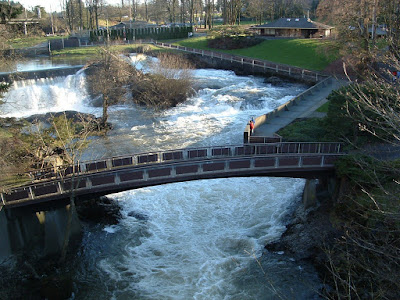 Deschutes River at Tumwater Falls Park.