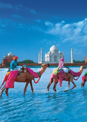 camels, colorful, india, mosque, sunny