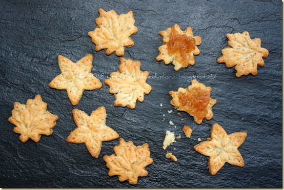 Biscotti salati al parmigiano e semi di papavero