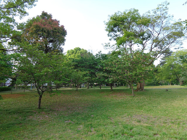 竜ヶ山公園