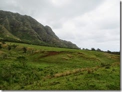 kualoa 36