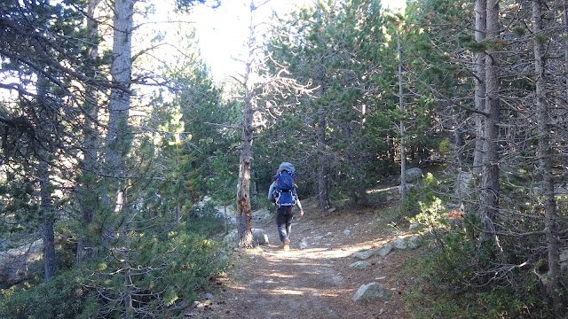 Sendero al Estany de Malniu