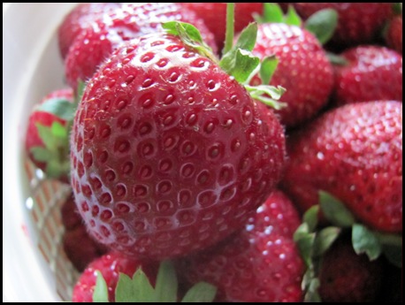Farmer's market (2)
