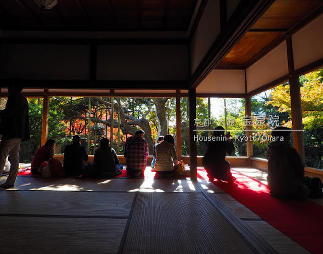 京都 宝泉院の紅葉