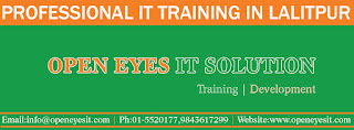 Professional IT training in Lalitpur, Web Designing Training in kathmandu, NEPAL