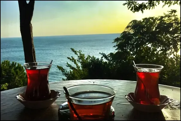 Rüyada Çay Bahçesi Görmek Ne Anlama Gelir?